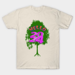 hello 2024 T-Shirt